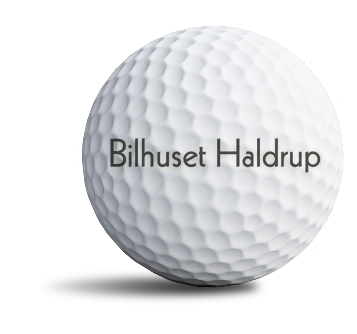 bilhusethaldrup_bold