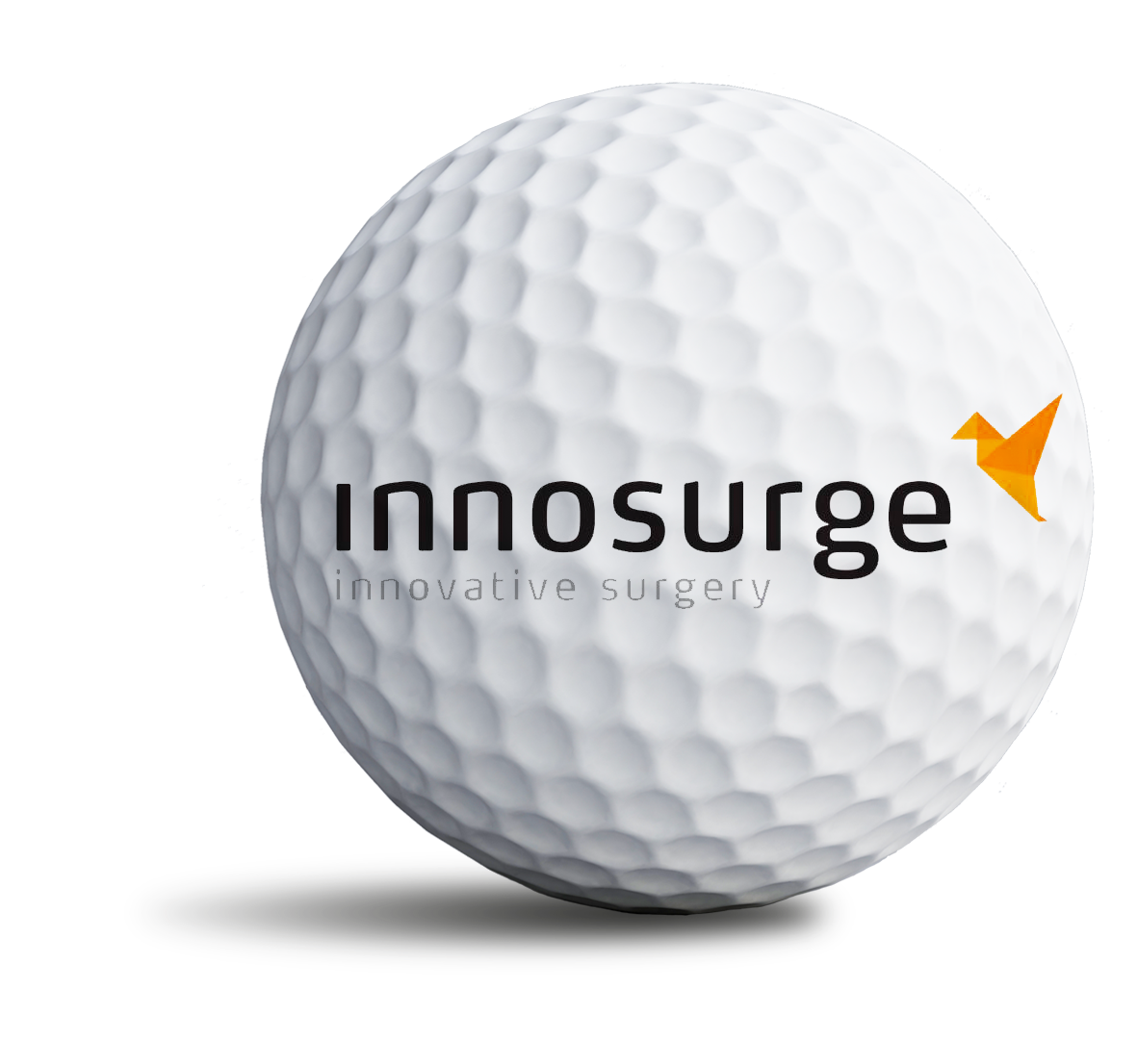 innosurge_bold