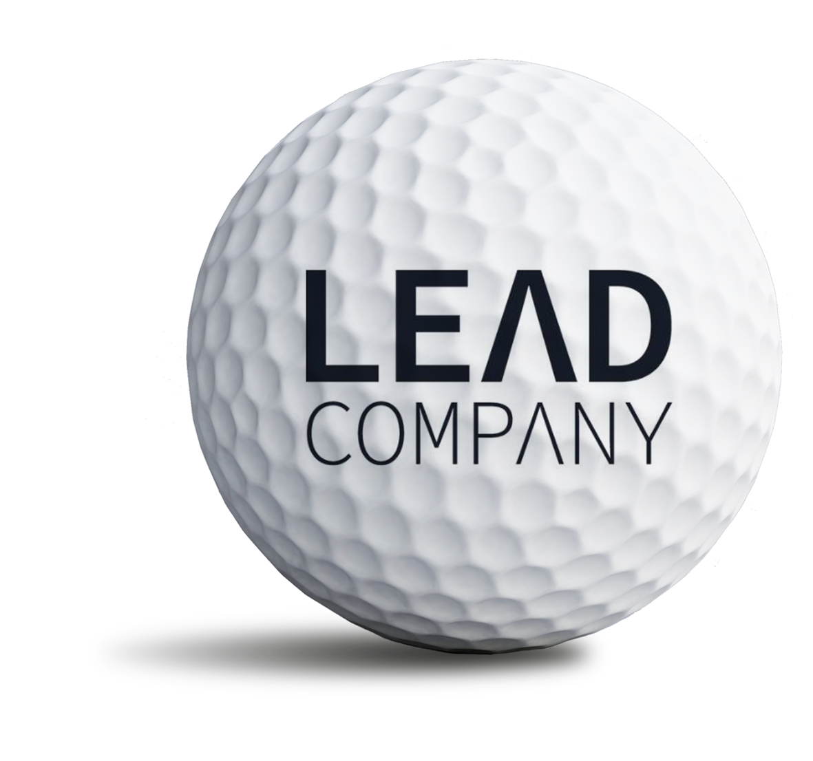 leadcompany_bold