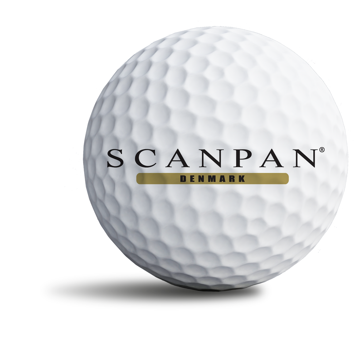 scanpan_bold
